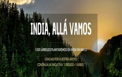 Este mes de Mayo vamos a plantar 1.000 árboles en India