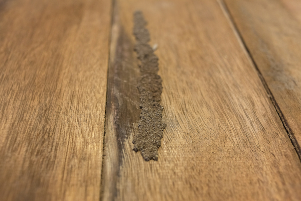 Cómo prevenir las termitas en tus puertas de madera