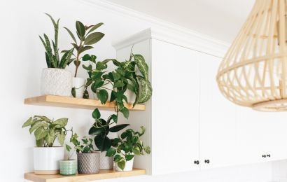 Apuesta por el estilo Urban Jungle para decorar tu hogar