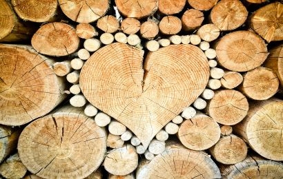 Beneficios de la madera en el mundo