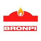 Estufas de Pellets Bronpi
