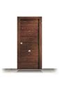 Puerta Blindada Lisa Sapelly