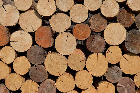 Características de las maderas blandas