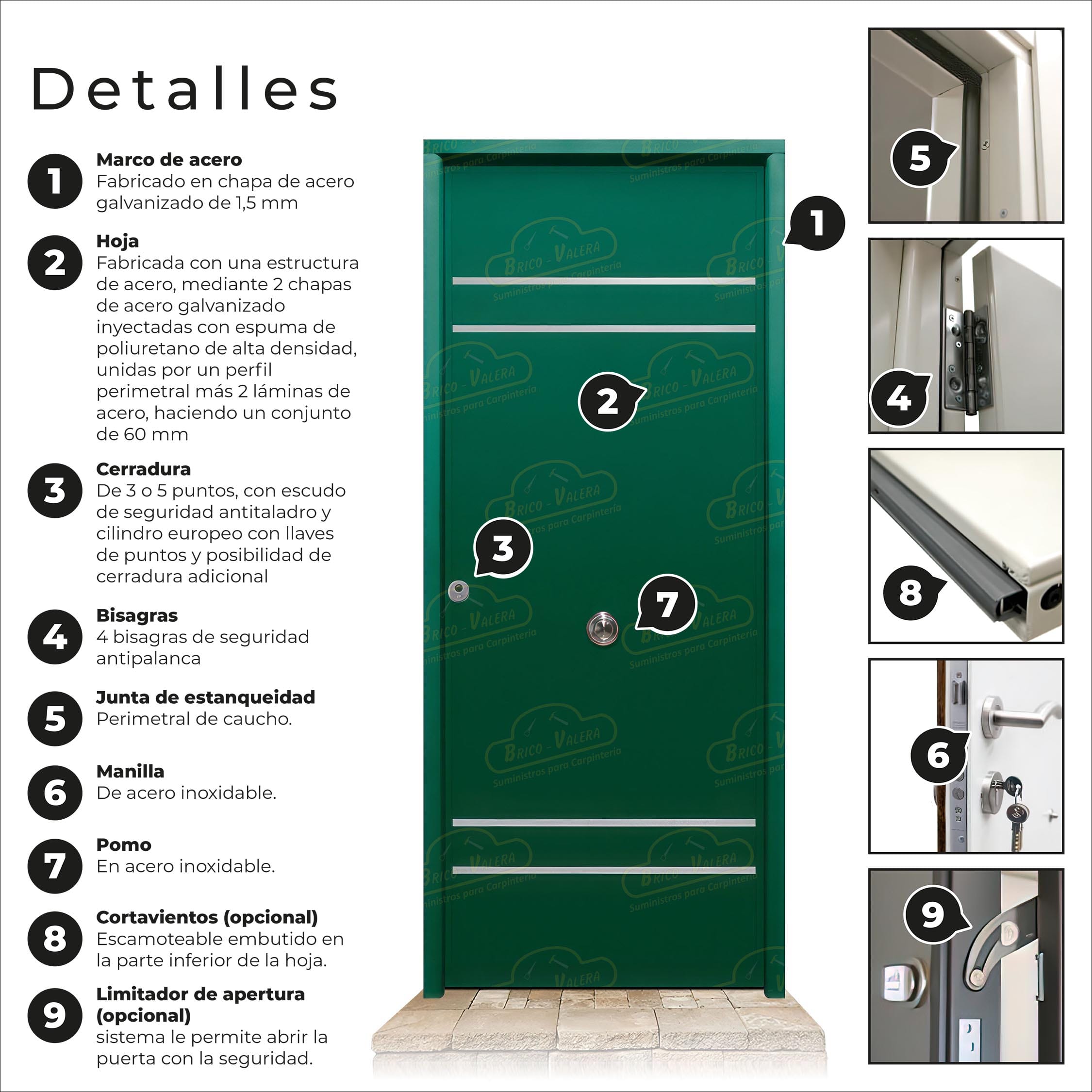 Puerta Acorazada Azalea FM Verde Musgo 6005 Sagacor 100