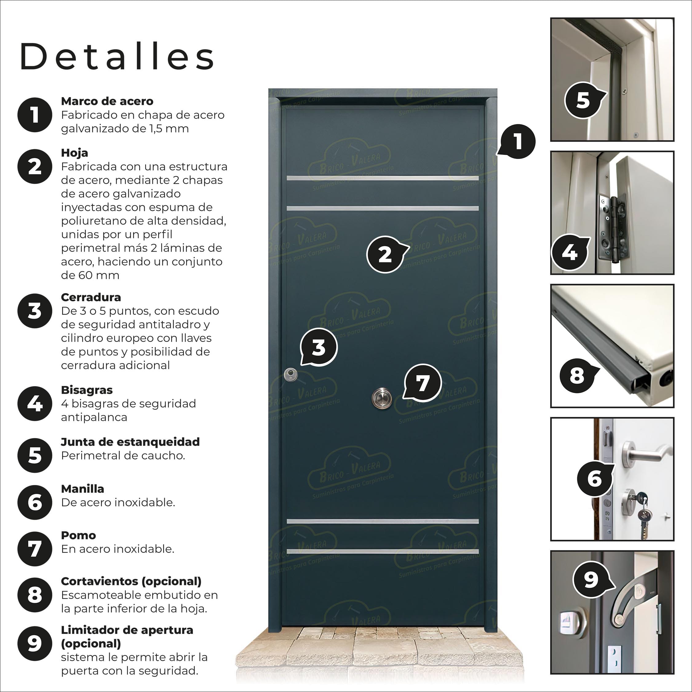 Puerta Acorazada Azalea FM Gris Antracita 7016 Sagacor 100