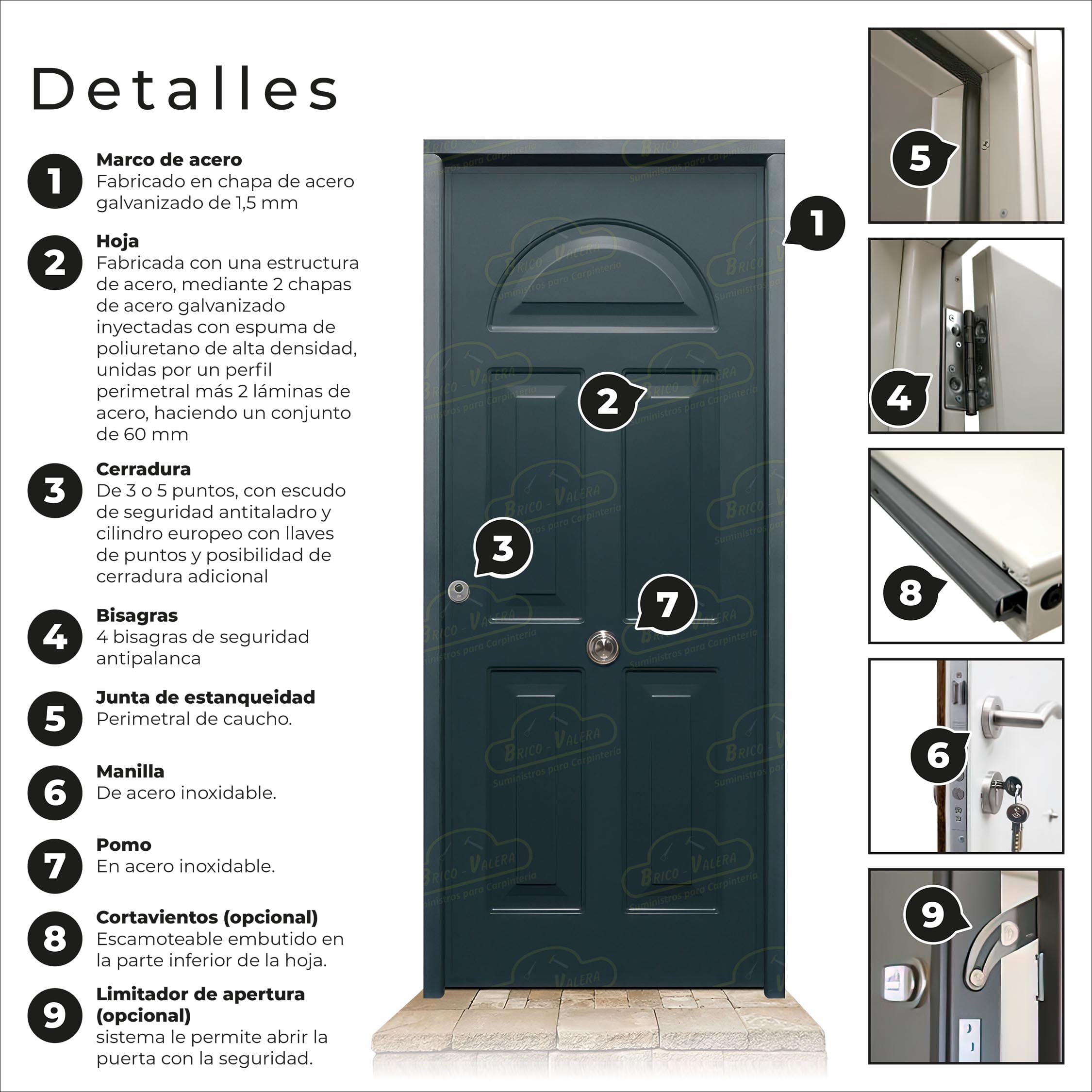 Puerta Acorazada Coral Gris Antracita 7016 Sagacor 100