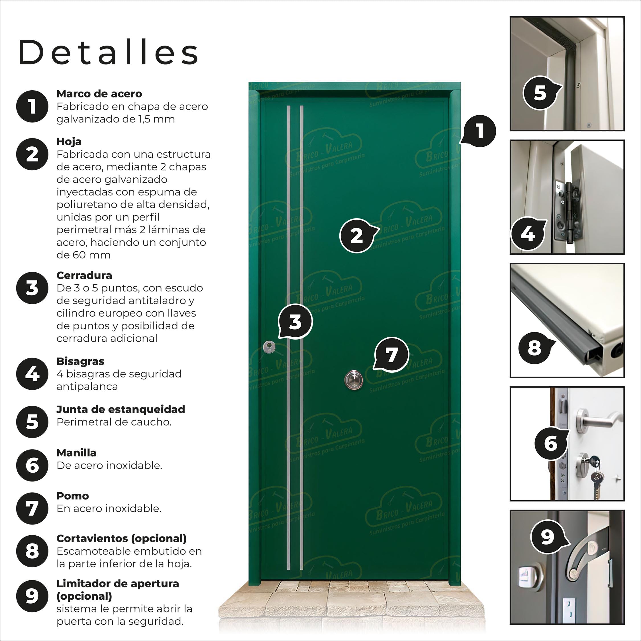 Puerta Acorazada Iris FM Verde Musgo 6005 Sagacor 100