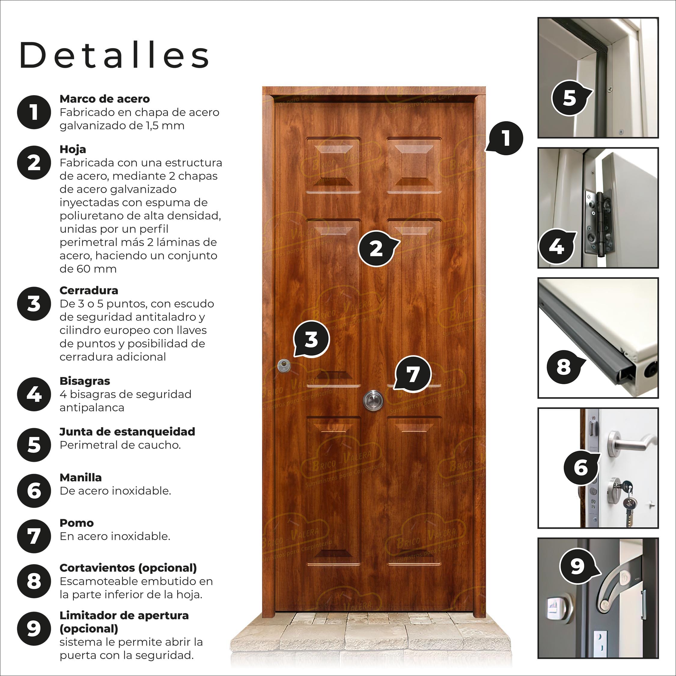 Puerta Acorazada Yedra Embero Sagacor 100