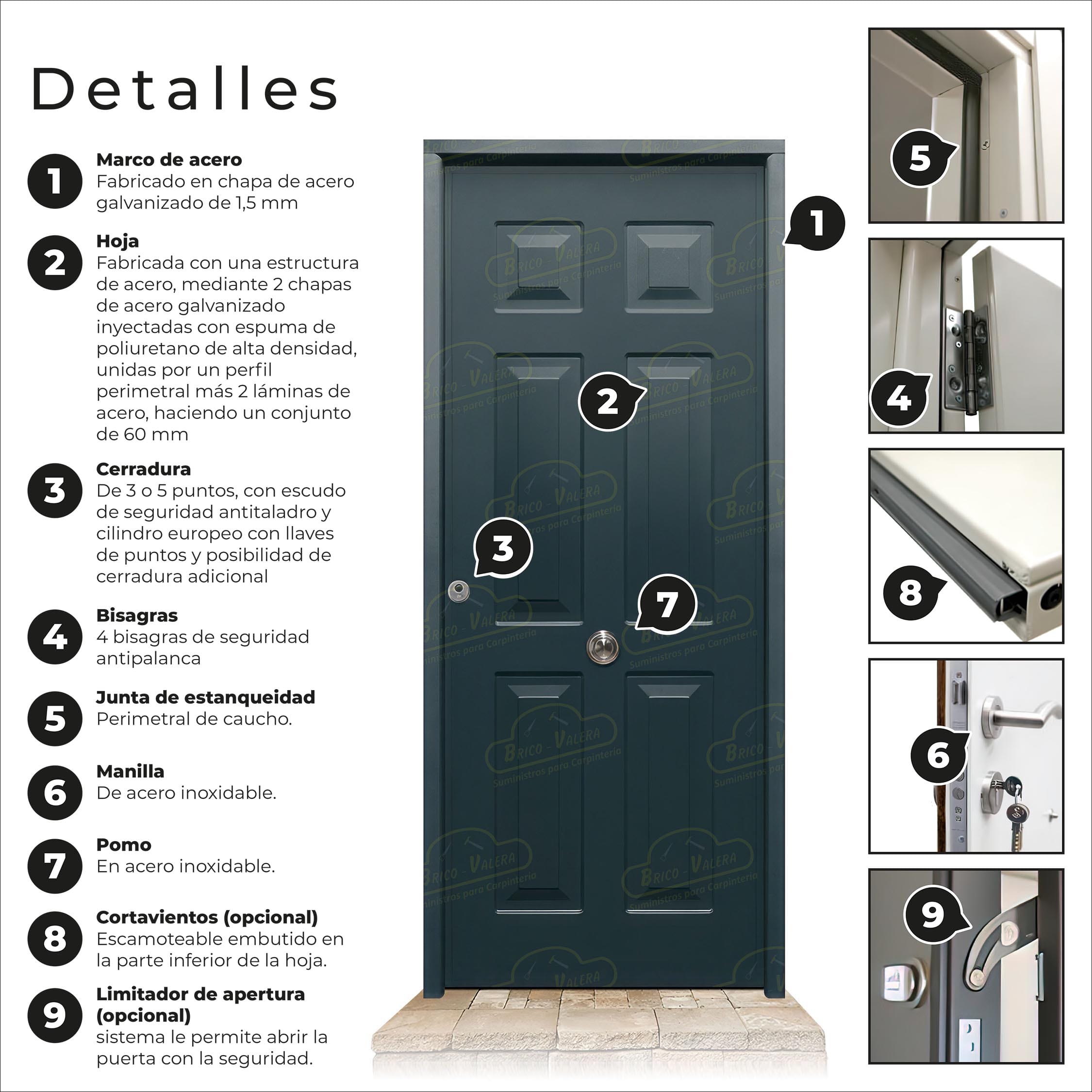 Puerta Acorazada Yedra Gris Antracita 7016 Sagacor 100